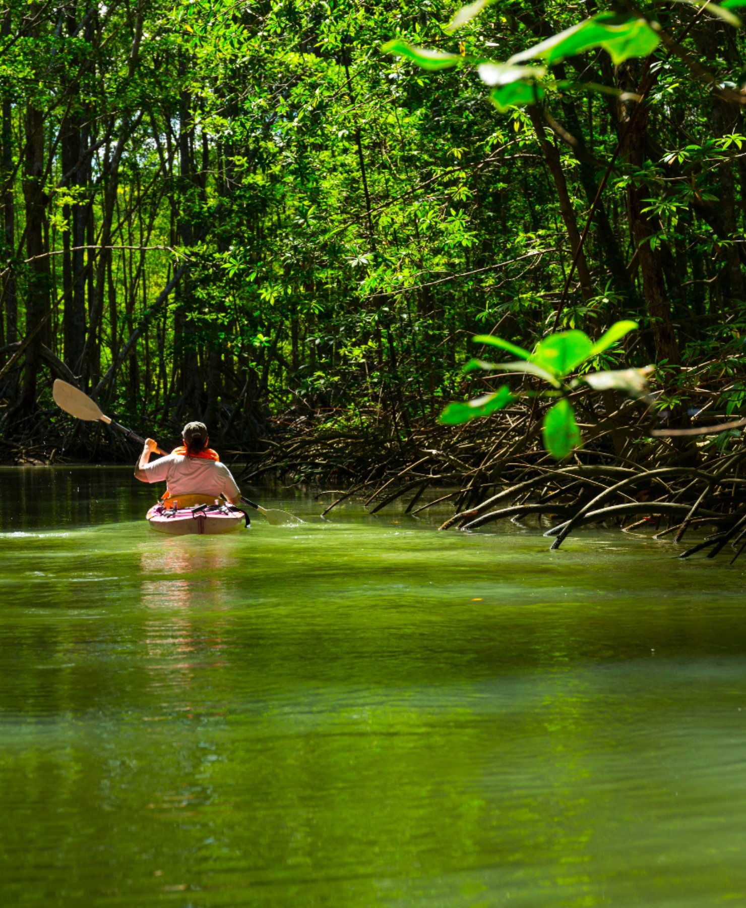 Piedras Blancas National Park | Costa Rica discount Pass S.R.L
